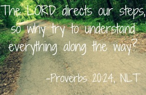 proverbs-20-24