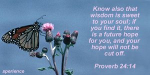 Proverbs24_14