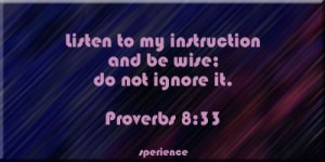 Proverbs8_33