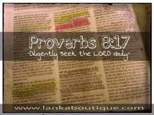 Proverbs_8.17_1024x1024